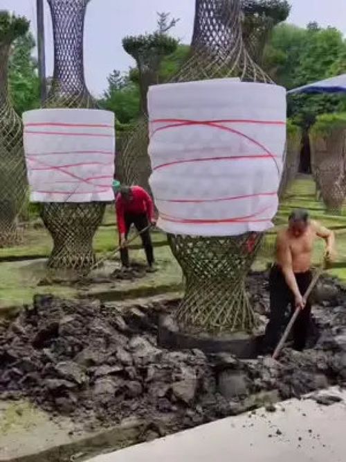 巨無霸紫薇造型樹震撼登場，金牌苗木人誠信供應精品綠化苗木